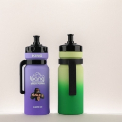 Disposable Bang King Vape Tw8000 Pen