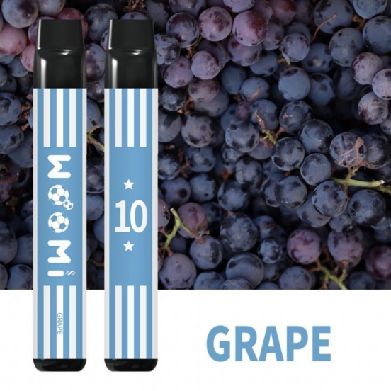 2024 Bulk Price Woomi Goal 2500 Smooth Hit Disposable Vape