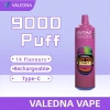 VALEDNA Disposable Vape 9000 Puffs