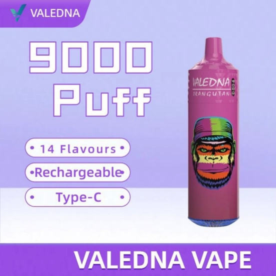 2024 Bulk Pricing VALEDNA 9000 Puffs Box