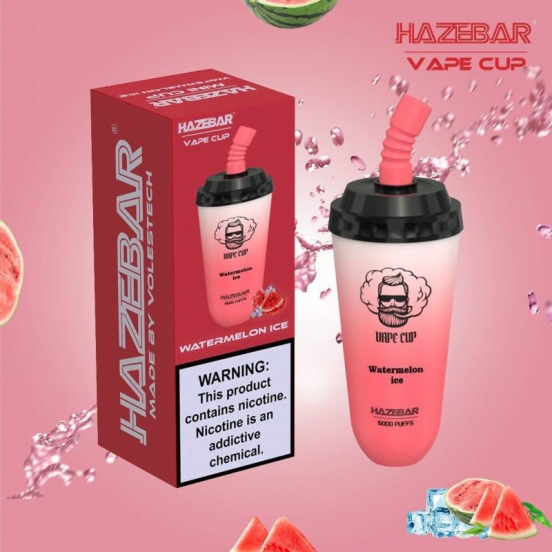 Best Selling volestech Haze Cup  Diposable 6000 Puffs Box Vape