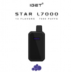 Disposable Iget Vapes Star 7000 Puffs