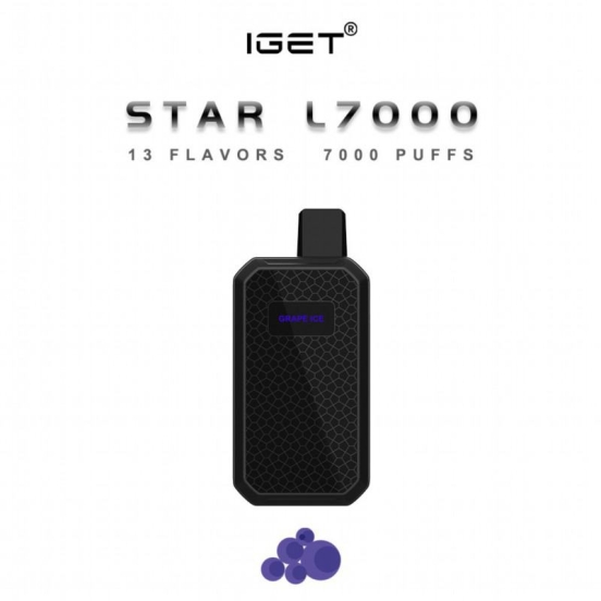 2024's Top Sellers Iget Plus Star 7000 Puffs