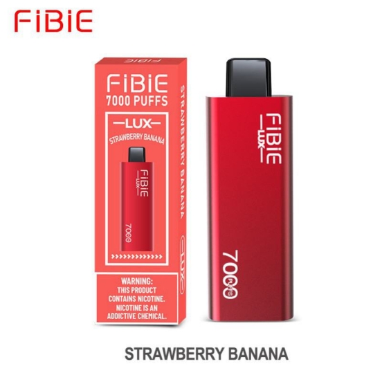 Wholesale FIBIE Febie Lux 7000 Vape Bars