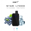 Disposable Iget Vape S Star L 7000 Puffs Bars
