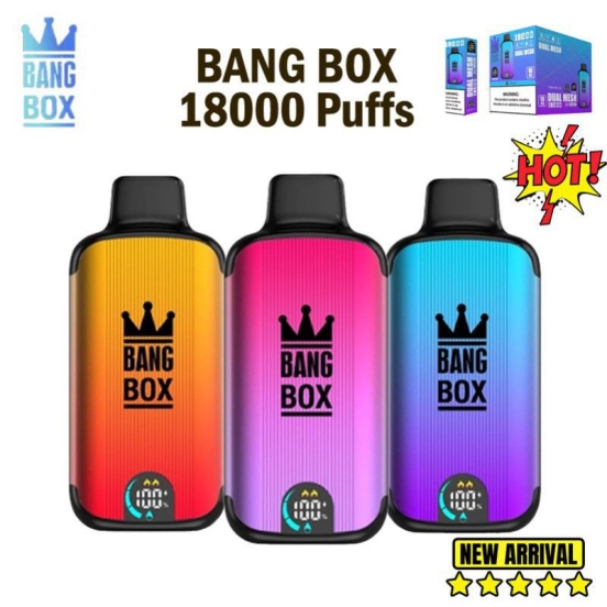 2024's Premium Vape Pen Wholesale Price Disposable Bang Box 18000 18k Puffs Vape Pens