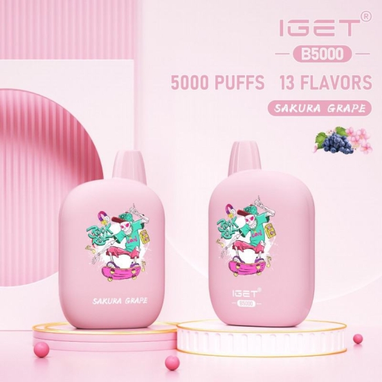 2024 Best Vape Iget B 5000 Puffs Disposable Smooth Hit Vape