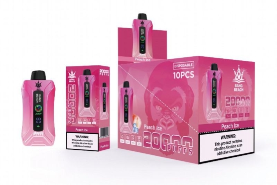 Premium Vape Pen Disposable Bang Vapes Beach 20000 Wholesale
