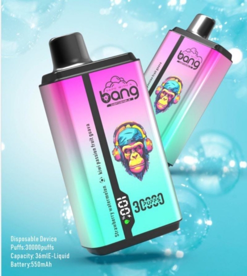 Premium Bang Wholesale Disposable Vape Pen 30000 12000 Puffs