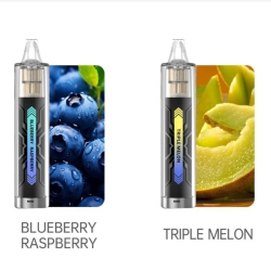 Runfree Puff Rf393 600 Puffs Disposable E-cigarette