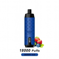 Smooth Hit Disposable Vape OEM Dm029 18000 Puffs