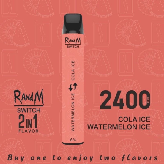 best selling Randm switch 2in1 disposable  2 2400 puffs vape bar wholesale