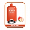 Disposable Yoslin Vape Y-050 Brands