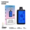 Tastefog Tastefog Echo Disposable E-cigarette