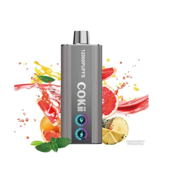 2024 Best luck Cokii Luxury Disposable Pen