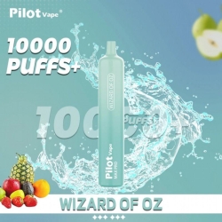 Disposable pilot 10000 Pilot 10000 Puffs Vape Brands