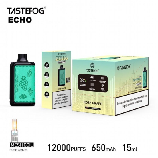 Vape Pen Wholesale Tastefog Tastefog Echo 12000 Puffs