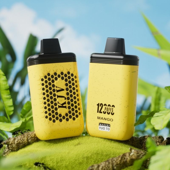 Disposable Vape Wholesale KJV 