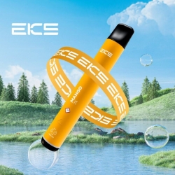 Disposable EKS Vape Mini 800 Puffs Pen