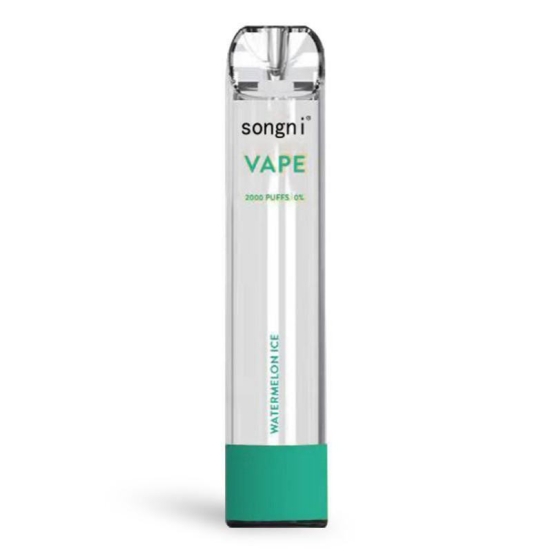2024 Best Vape Pen Songni Songni-2000 Vape Flavors