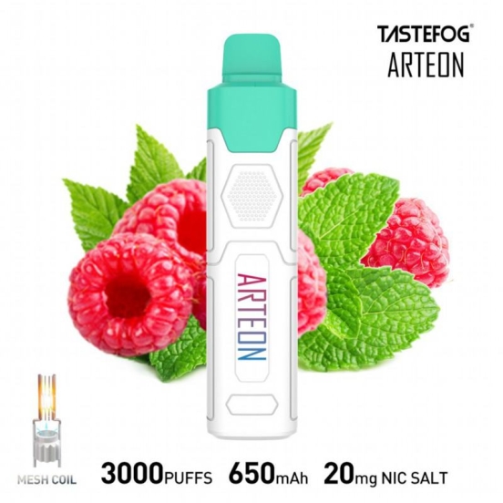 Best Vape Pen Disposable TASTEFOG/OEM Vape Arteon 3000 Puffs Wholesale
