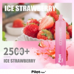 pilot 10000 10k Pilot 2500 10000 Puffs Disposable Vape Pen