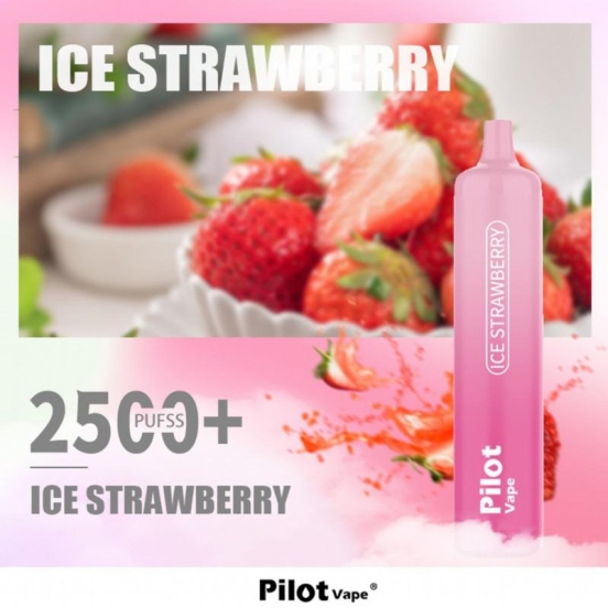 Cheap Pricing pilot 10000 10k Pilot 2500 10000 Puffs Vape Rechargeable