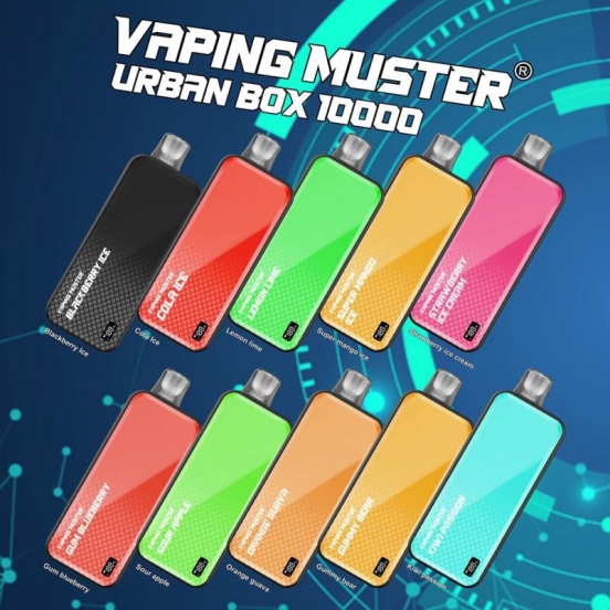 Customizable Niimoo Ndubox 10000 Puffs Wholesale Price Disposable Vape
