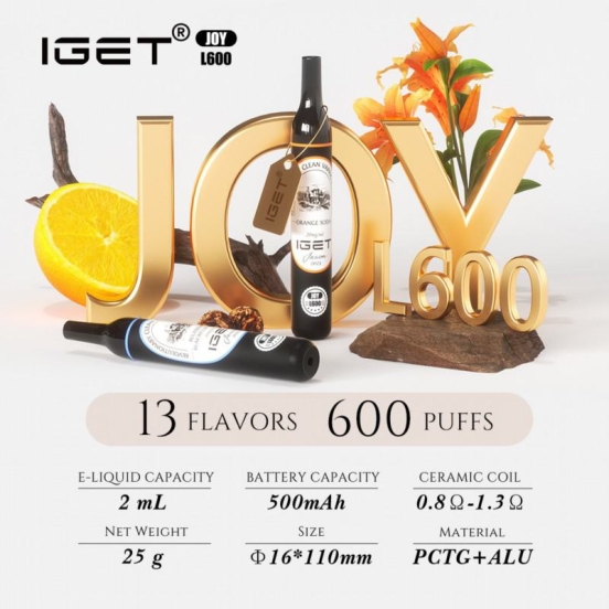 Disposable IGET Iget Joy L 600 Puffs Vape Pens Wholesale Price