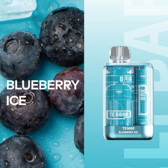 Original Disposable TE5000 Vape Te 5000 Puffs Pens Wholesale Price