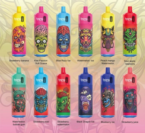 Hot Sale Bang Pen 12k Puffs Hits Vape Puffs