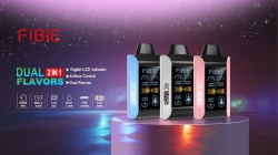 FIBIE Disposable Vape Pens Fibie Plus 15000 Puffs
