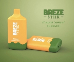 BREZE Pens Breze Bs 6500 Puffs