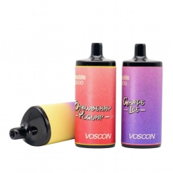 VOSOON Pen Vosoon Doubke 10000 Puffs Hits Vape Puffs