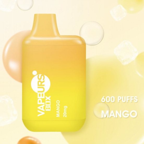 Competitive Pricing urs 600 Puffs Disposable Vapes Wholesale