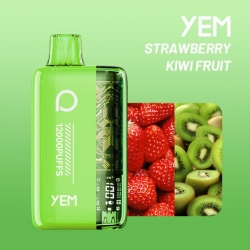 YEM Bm12s-65mn 12000 Puffs Disposable Vape Brands