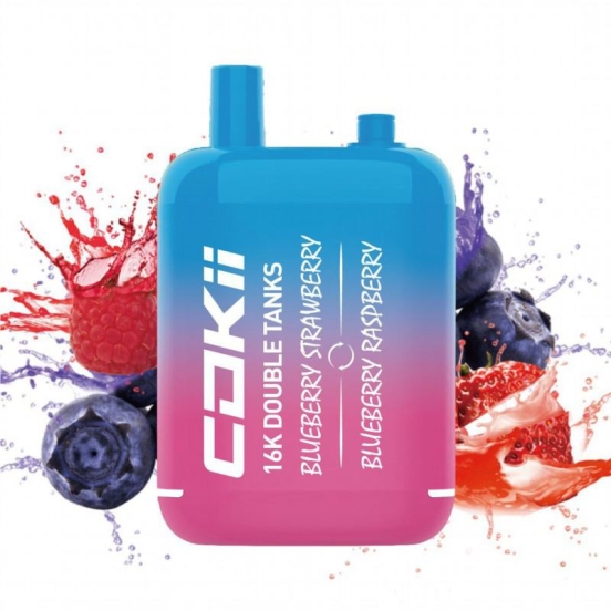 Premium Insta Pen Vape Cokii Double Flavors 15000 Puffs