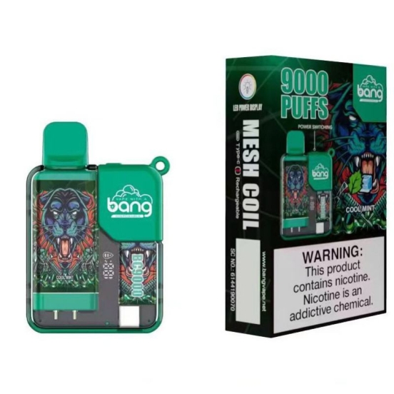 Competitive Pricing Bang 3bg9 Disposable Vape Device