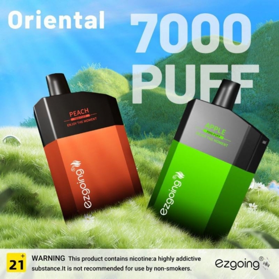 Wholesale Ezgoing Ezgoing- Fk047 7000 Vape Pens