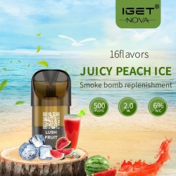 Disposable Iget 500 Puffs Vape Bars