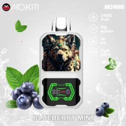Aokit 24000 Disposable Vapes 