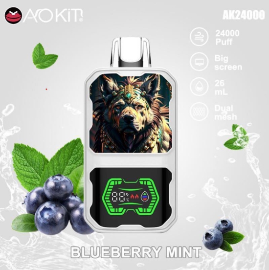 2024's Finest Vaping Aokit 24000 Disposable Vape Wholesale 