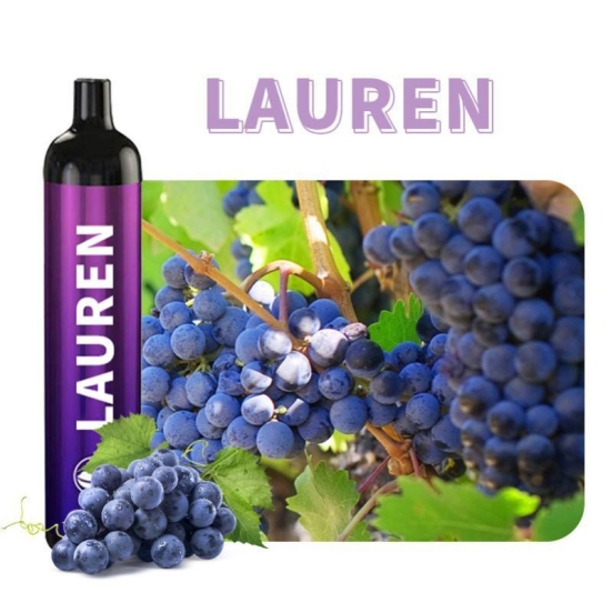 customize Lrec07 4500 Puffs