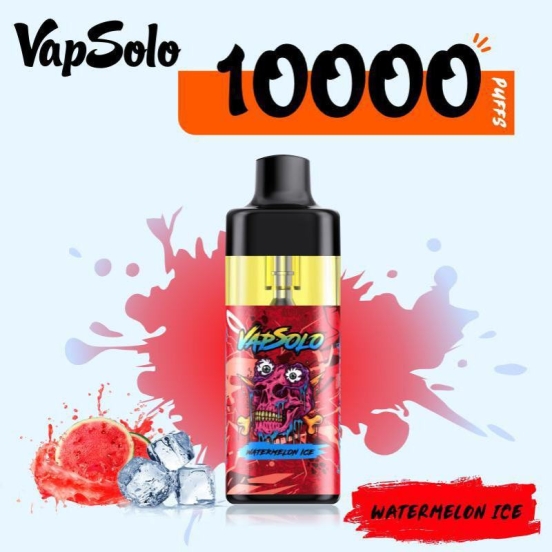 Best Vape Pen Vape Bar Wholesale Vapsolo Tornado 6000 Puffs
