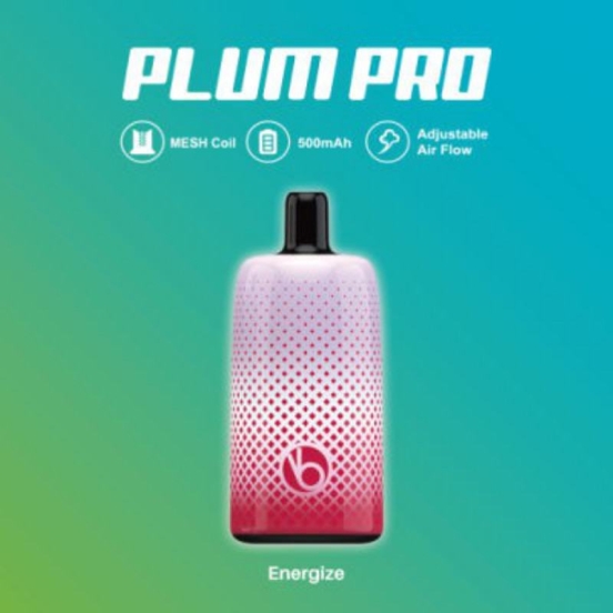 Best Quality Vbeen Vape Bar Vabeen Plum Pro 7000 Puffs