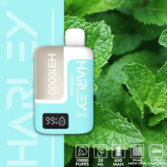 2024 Best Vape Pen Harley Hb10000 Big Hit Disposable Vape