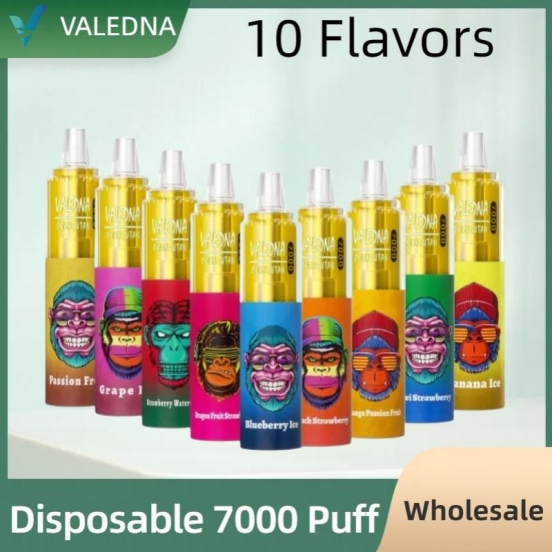 Hot Selling Wholesale VALEDNA 062 7000 Puffs Vape Pens