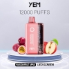 Smooth Hit Disposable Vape YEM Bm12s-45