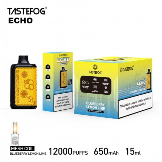 Vape Pen Wholesale Tastefog Tastefog Echo 12000 Puffs