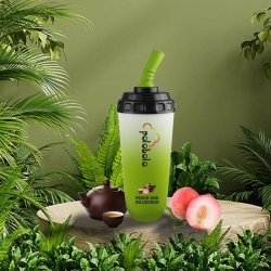 POLOBOLO Disposable Pb 21 Disposable Big Hit Vape